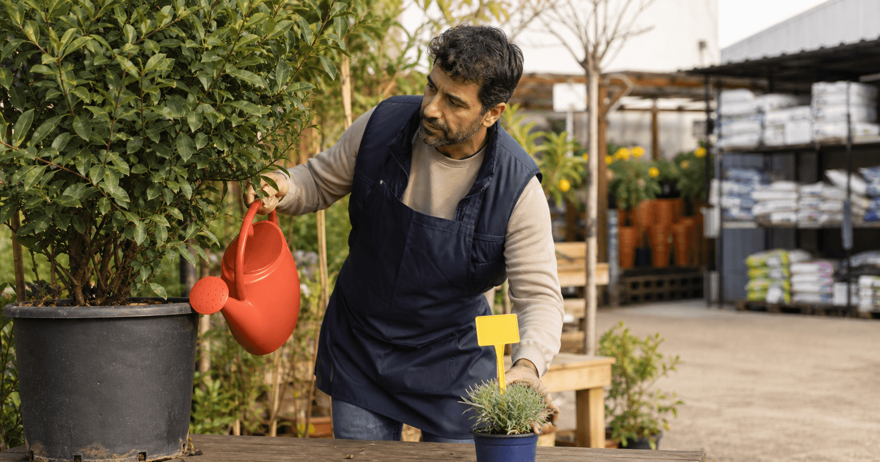Dueño de un vivero regando una planta consolidada junto a otra recién promocionada